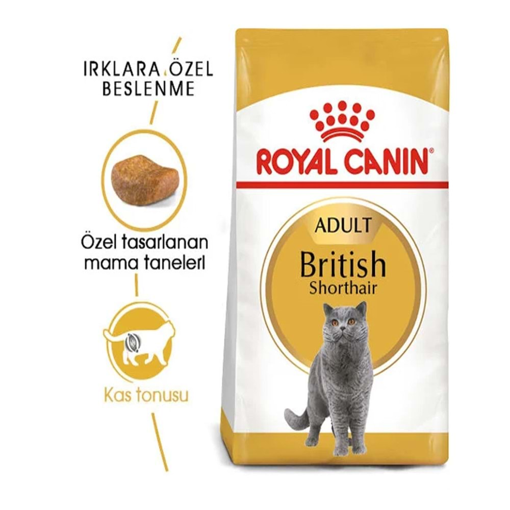 Royal Canin British Shorthair Yetişkin Kedi Maması 2 Kg