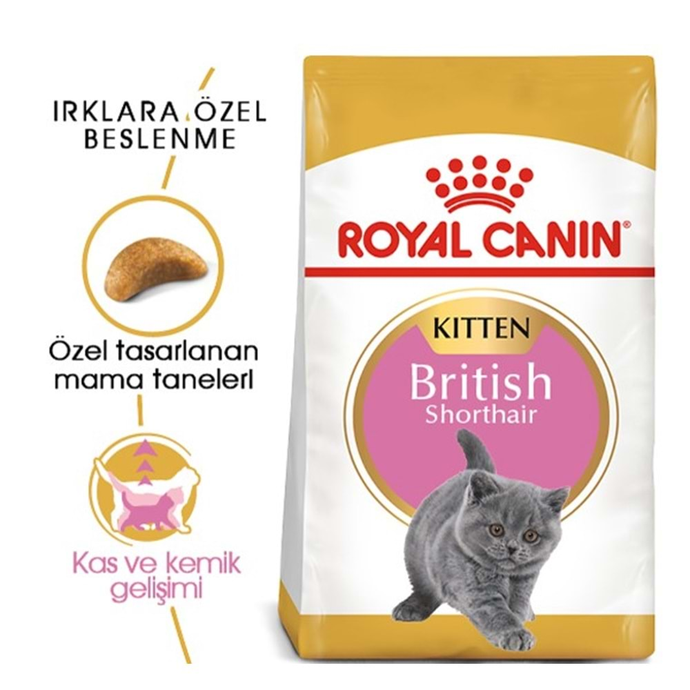 Royal Canin Kitten British Shorthair Yavru Kedi Maması 2 kg