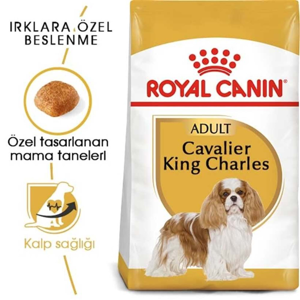 Royal Canin Cavalier King Charles Yetişkin Kuru Köpek Maması 1.5 Kg