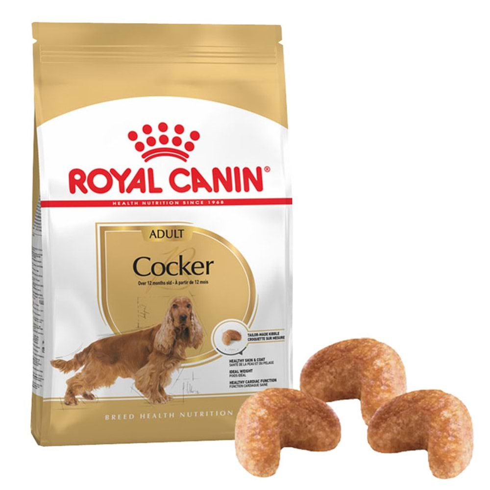 Royal Canin Cocker Yetişkin Köpek Maması 3 Kg