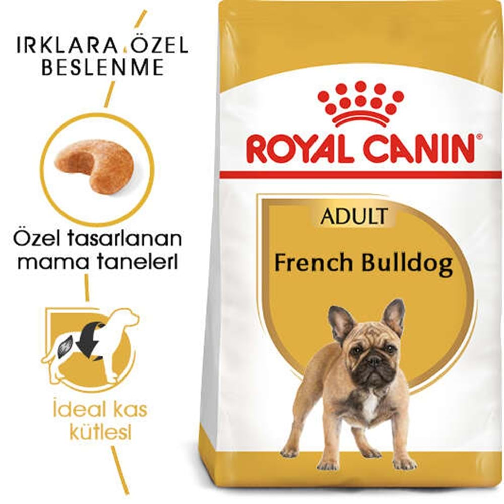 Royal Canin Fransız Bulldog Yetişkin Köpek Maması