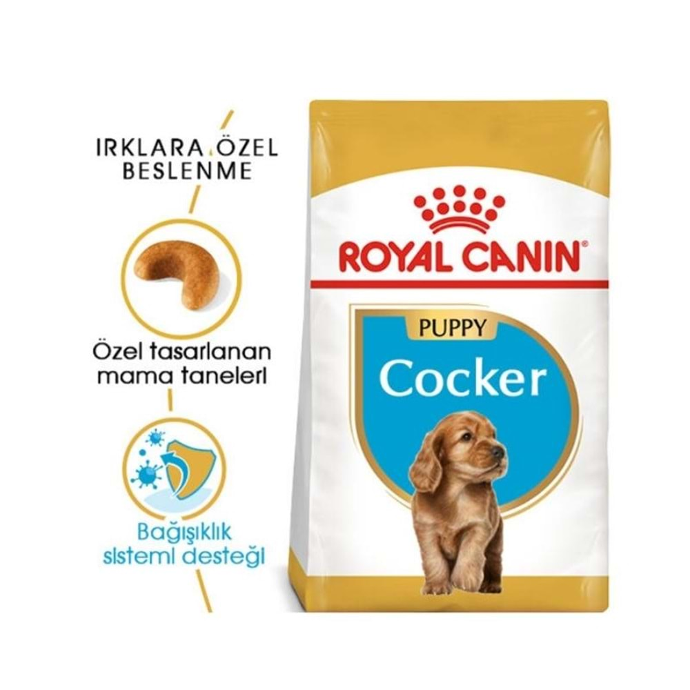 Royal Canin Cocker Yavru Köpek Maması 3 Kg