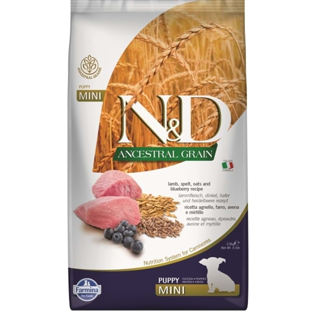 N&D Ancestral Grain Kuzu Etli Yaban Mersinli Küçük Irk Tahıllı Yavru Köpek Maması 2,5kg