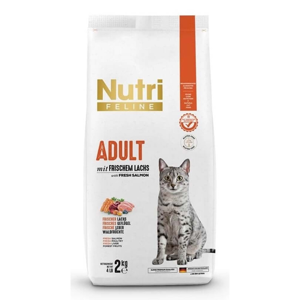 Nutri Feline Adult Salmon Yetişkin Kedi Maması 2 Kg