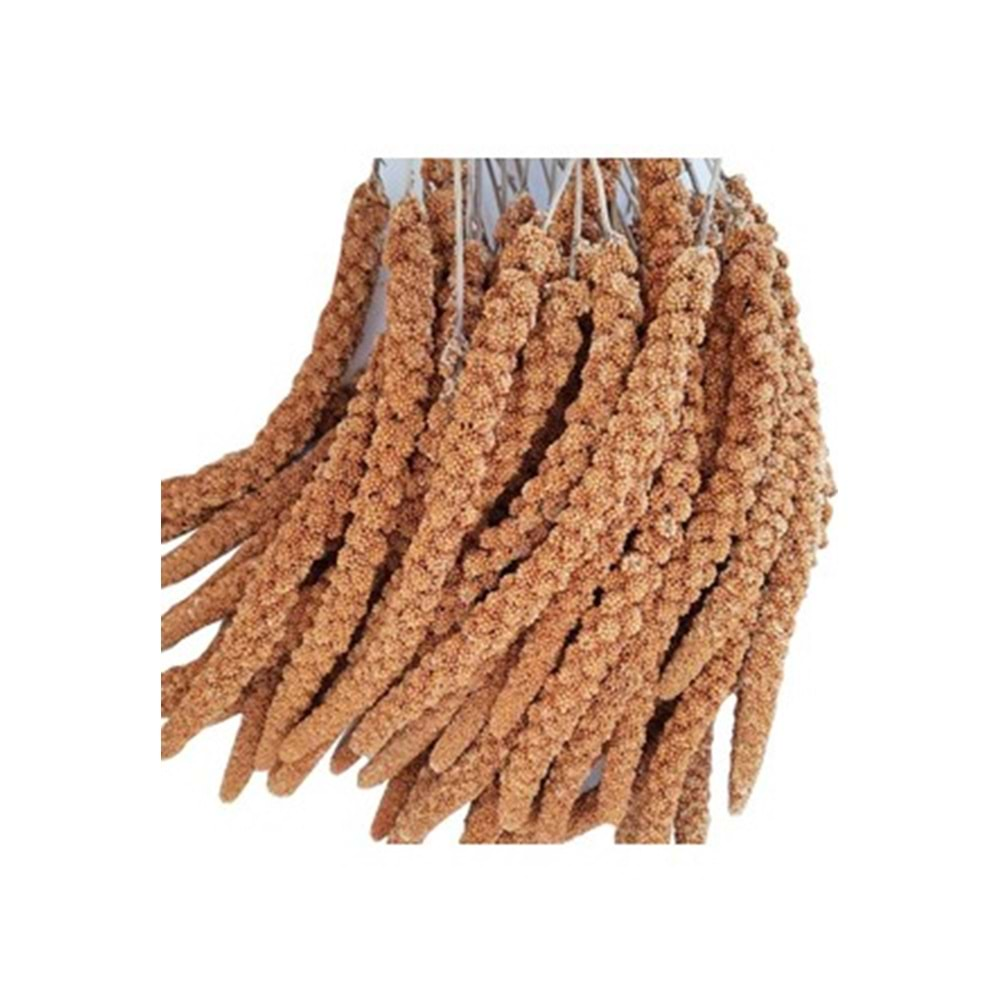 Aves Doğal Dal Darı 150 gr