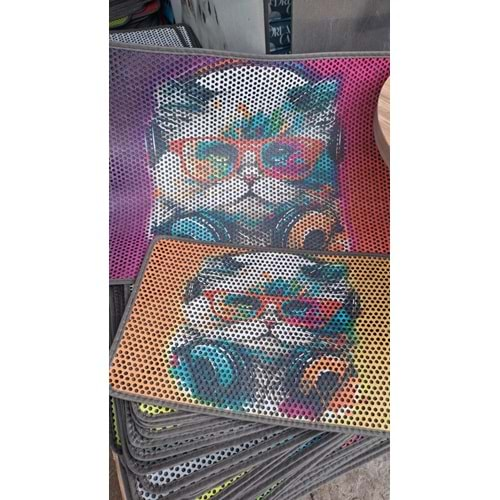 Pro Chem Kedi Görselli Elekli Paspas Küçük 40x60 cm