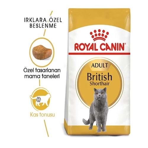 Royal Canin British Shorthair Yetişkin Kedi Maması 2 Kg