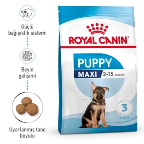 Royal Canin Maxi Puppy Büyük Irk Yavru Köpek Maması 10kg