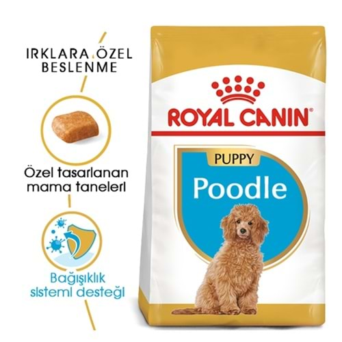 Royal Canin Puppy Poodle Caniche Yavru Köpek Maması 3kg